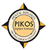 Visit the Pikos Implant Institute